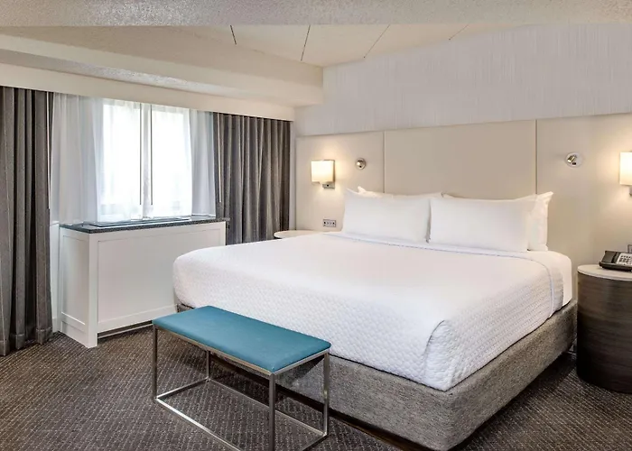 Sonesta Downtown Hotel 4*