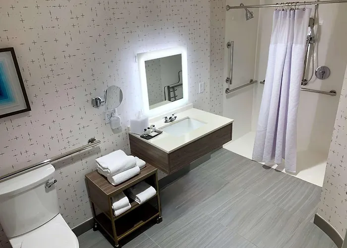 Hotel Sonesta Downtown 4*