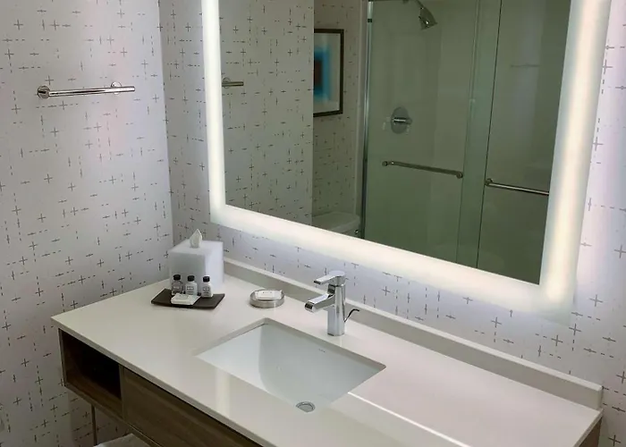 Sonesta Downtown Hotel