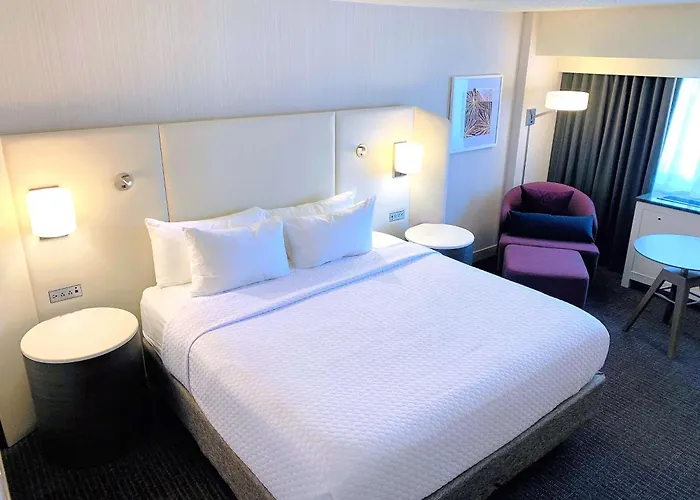 Sonesta Downtown Hotel 4*