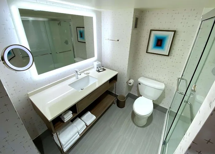 Sonesta Downtown Hotel 4*